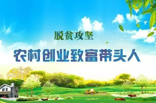 关于深入实施农村创新创业带头人培育行动的意见